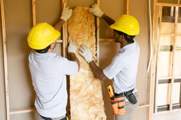 Best Attic Insulation Installation  in Mosinee, WI